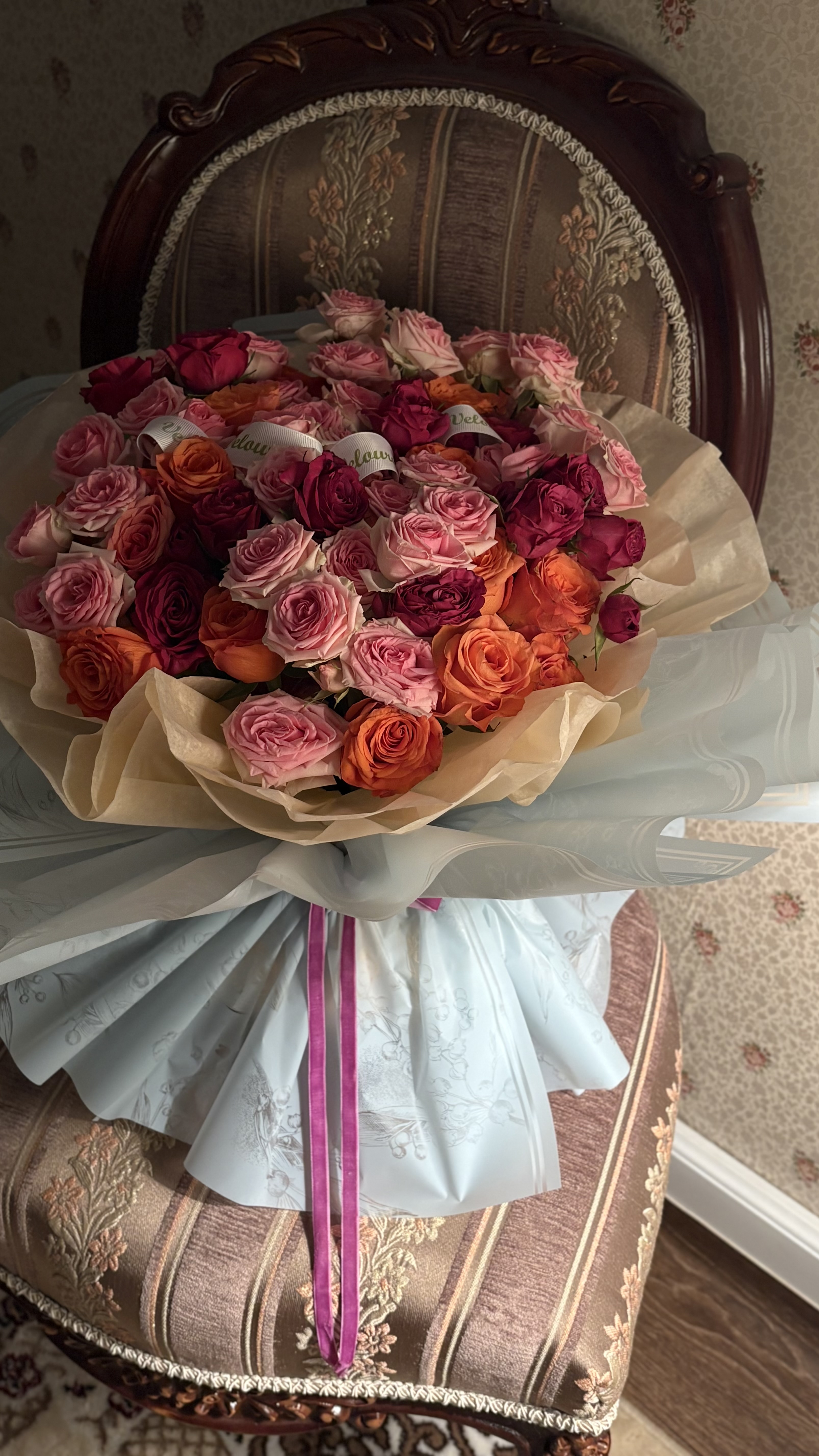 بوكي ورد شروق ڤيلورا