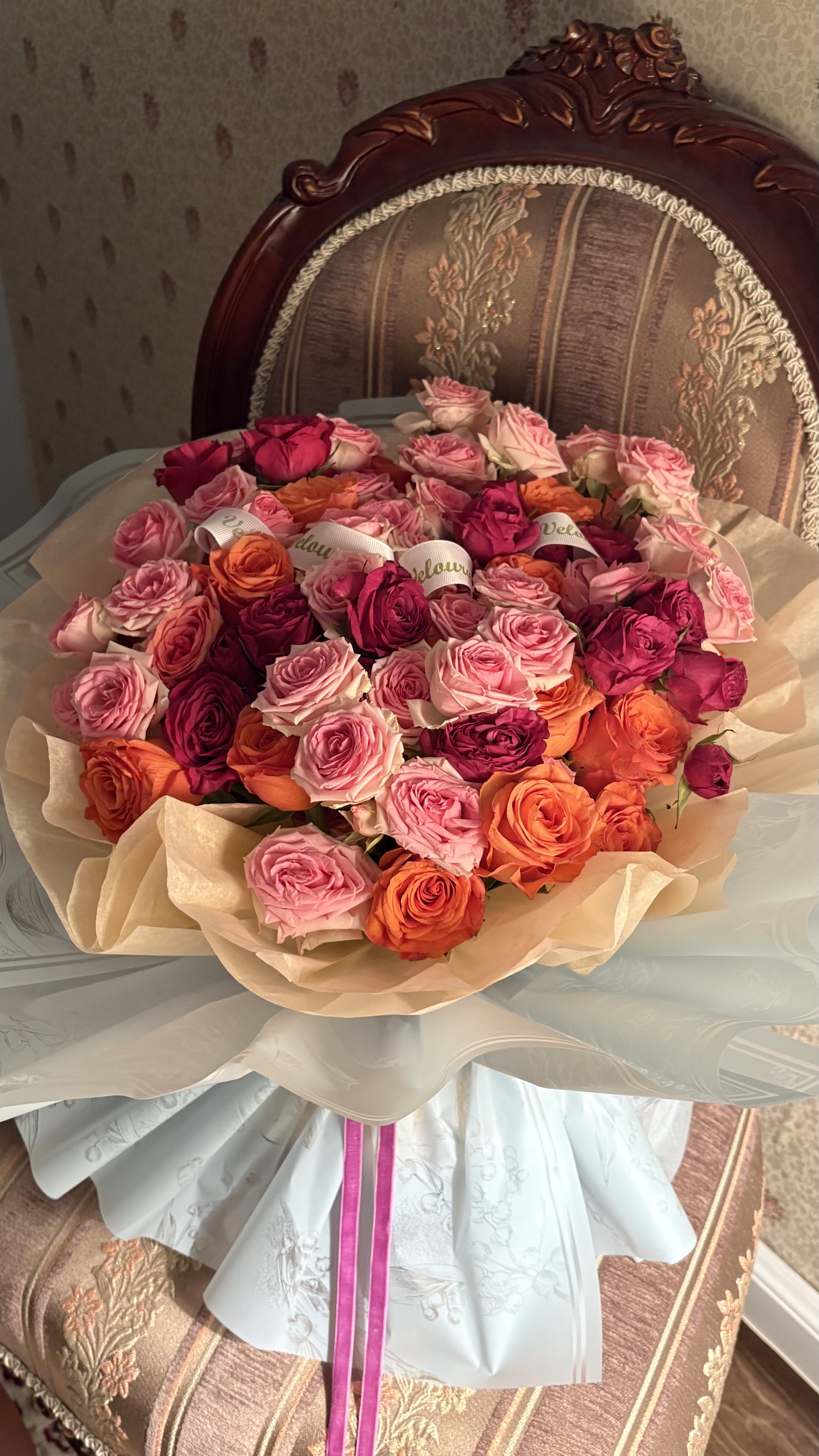 بوكي ورد شروق ڤيلورا